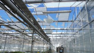 Une vingtaine de communes ont été fortement impactées par l’orage de grêle samedi 15 juin. Les dégâts engendrent des pertes importantes : récoltes, fonds, destruction de cultures, dégradation des toitures et des serres. (c) Lycée Terres d’Horizon